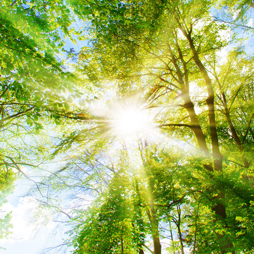 Stepping Up With Our Sustainability Drive